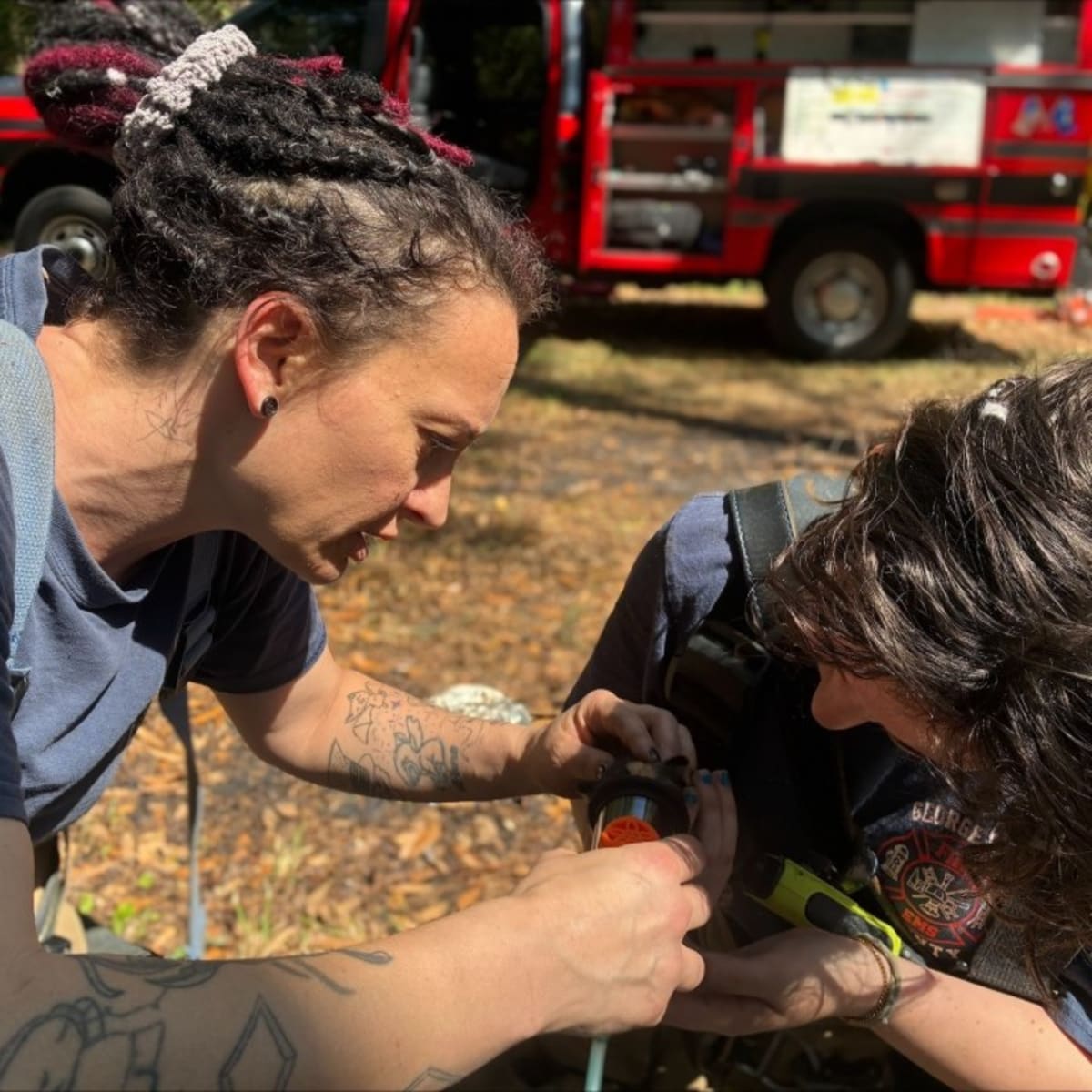 Firefighters Save Newborn Kittens from Burning Home - Image 5
