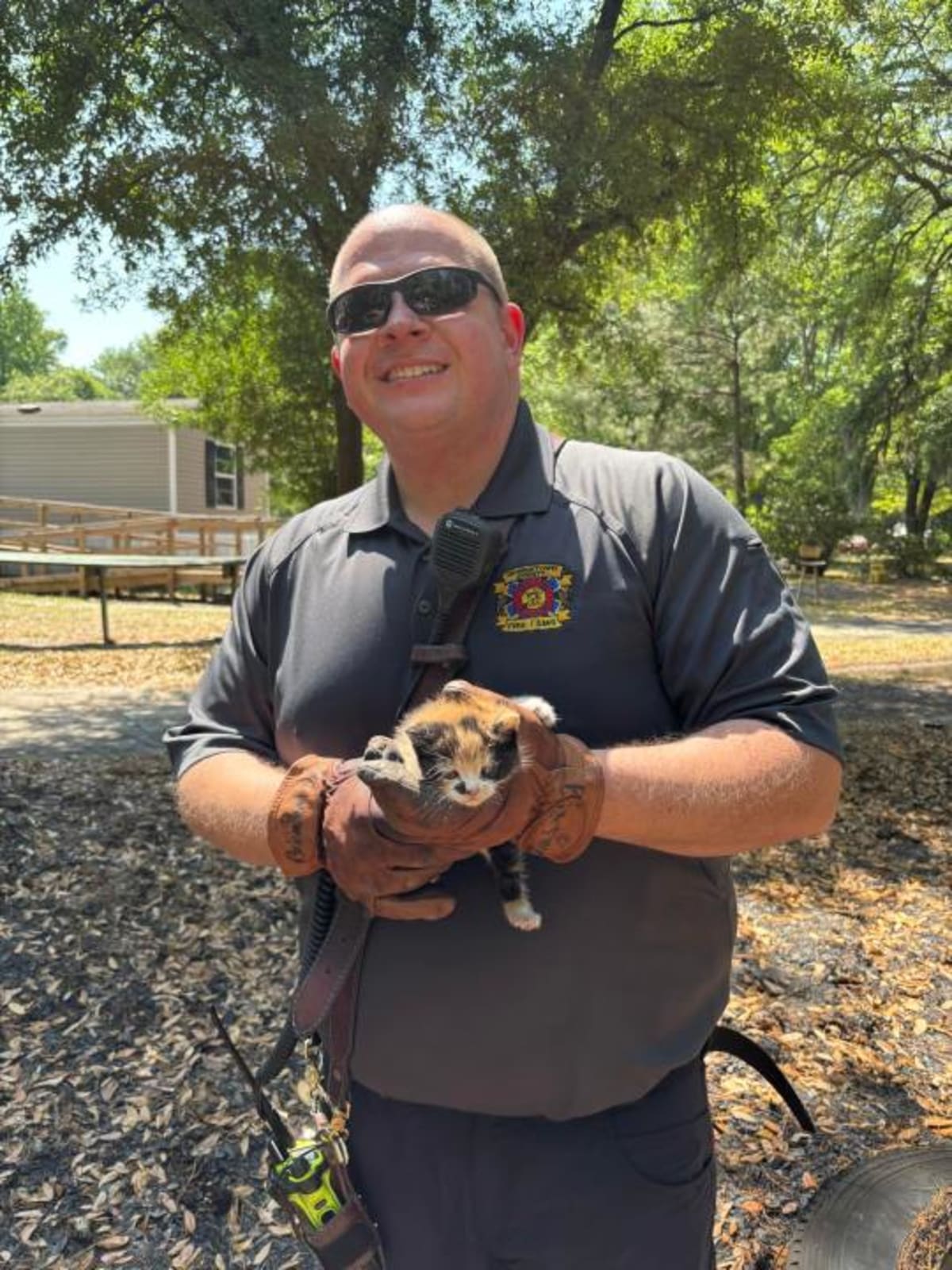 Firefighters Save Newborn Kittens from Burning Home - Image 3