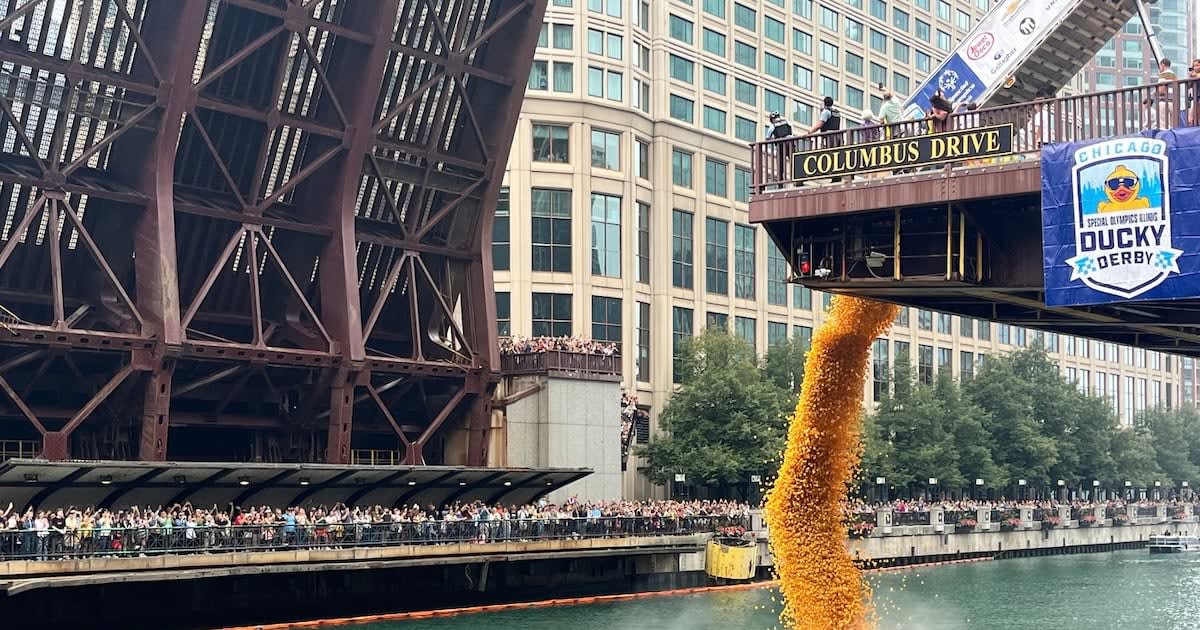 Thousands of yellow rubber ducks floating down Chicago River past downtown skyscrapers during annual derby fundraiser