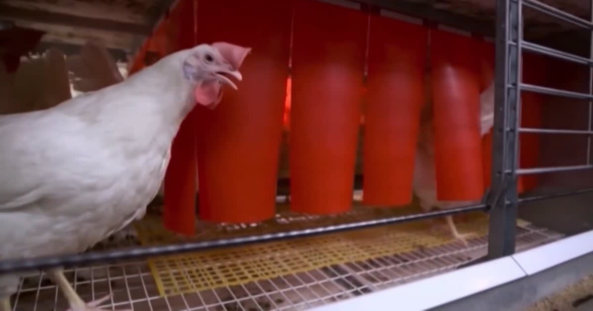 Sunrise Farms Invests $100M, Creating 100 Jobs in Ontario