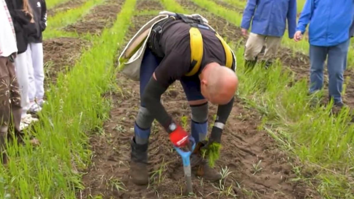 56-Year-Old Tree Planter Attempts 24,000 Trees in 24 Hours - Image 3