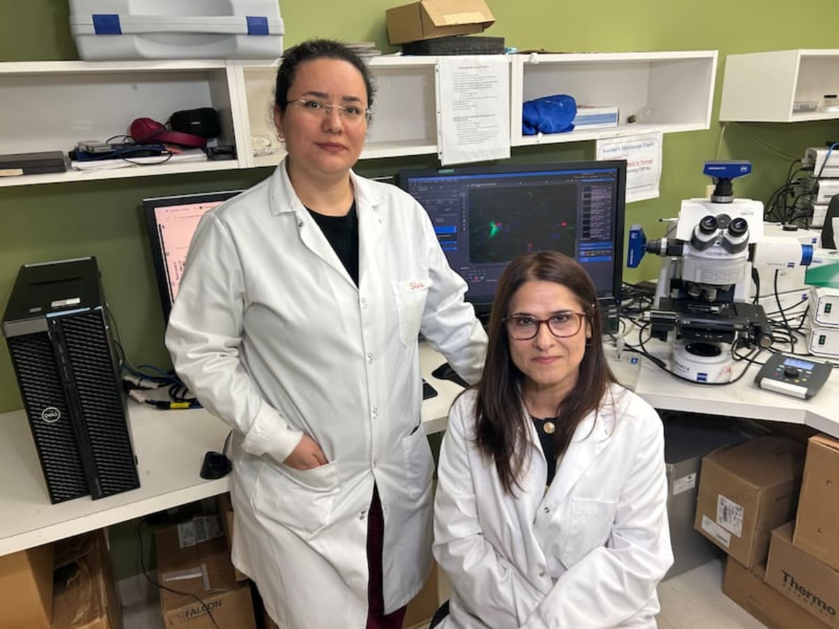 Manitoba Researchers Find New Hope for MS Patients - Image 2