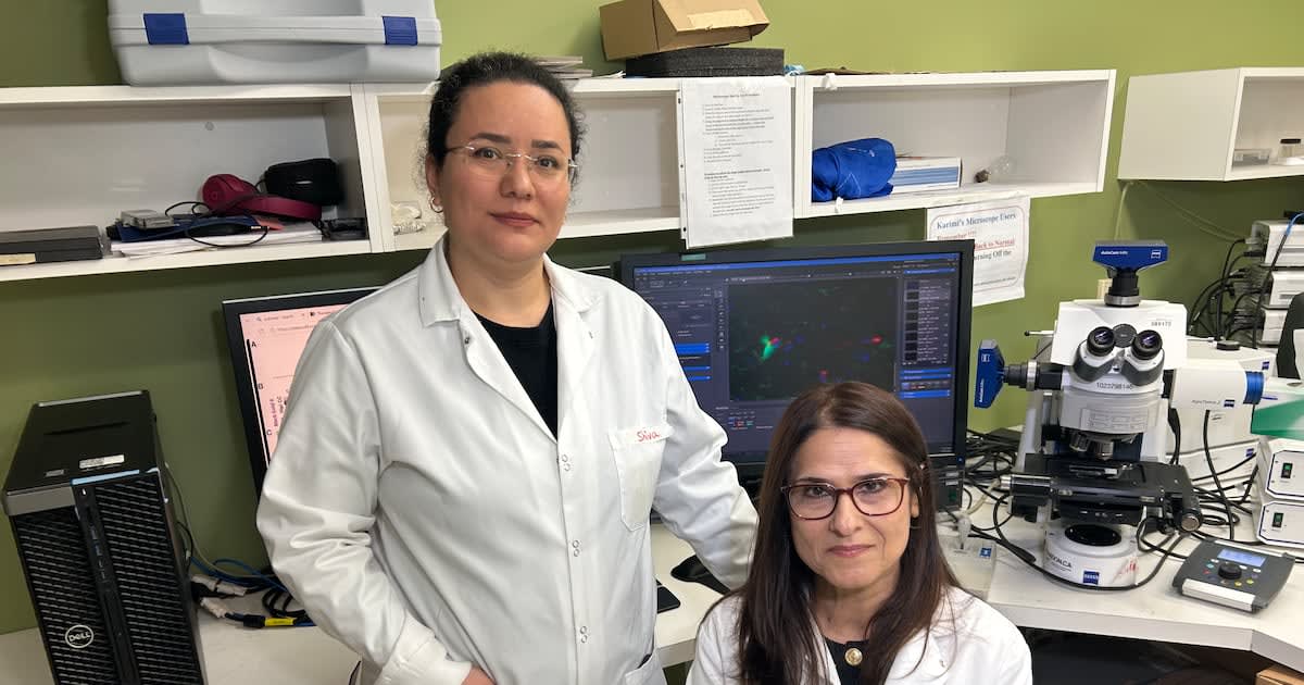 Manitoba Researchers Find New Hope for MS Patients