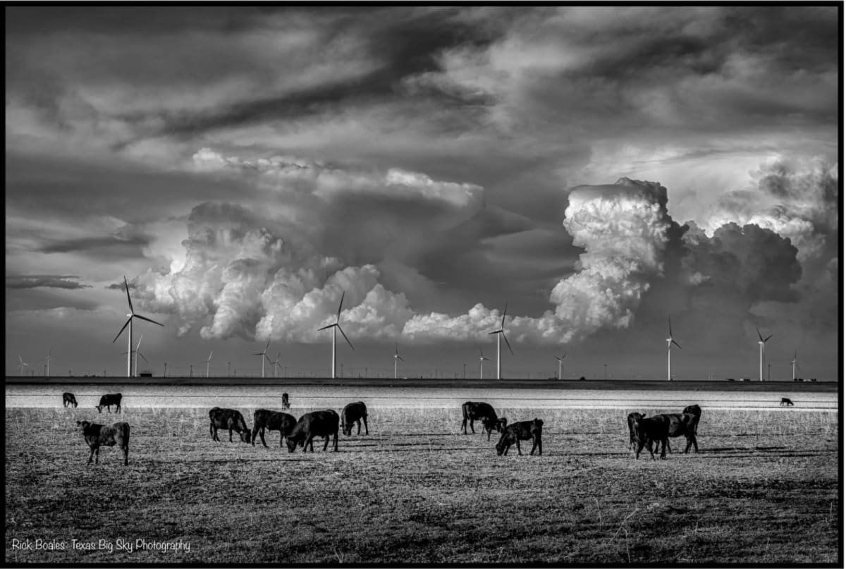 Texas Ranchers Earn Extra Income from Wind Turbines