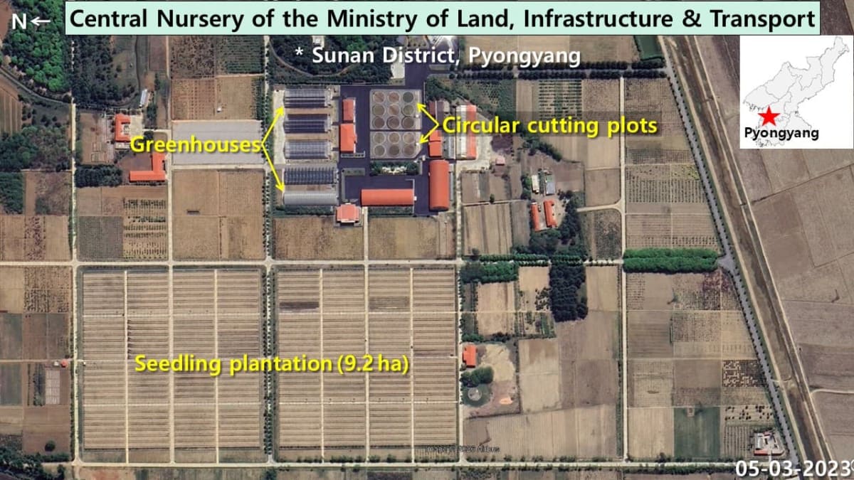 North Korea Plants 1.2M Hectares in Decade-Long Green Push - Image 2