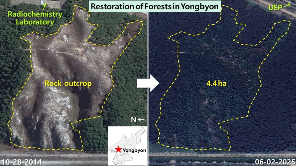 North Korea Plants 1.2M Hectares in Decade-Long Green Push