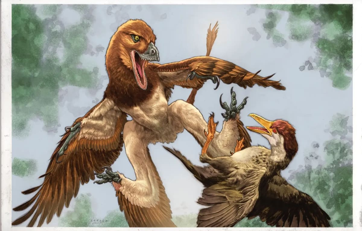 Illustration of four-winged Jian changmaensis dinosaur attacking early bird in prehistoric China