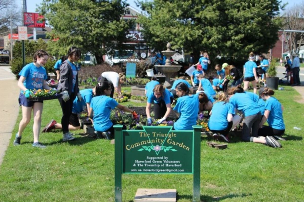 Haverford Fair Connects 20+ Groups Seeking Volunteers - Image 2