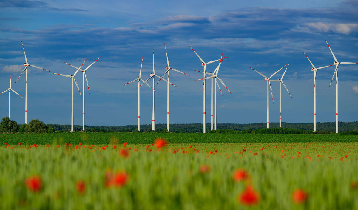 Germany Hits 58% Renewable Energy in Historic First Half