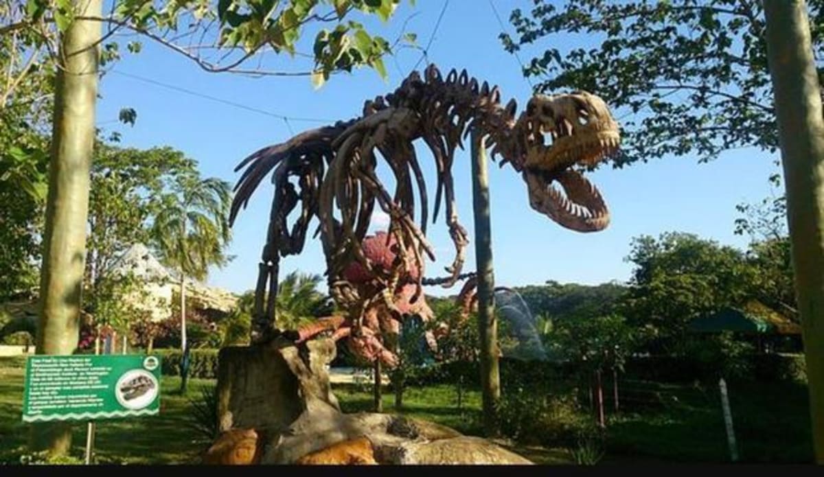 Colombia's Escaped Hippos Are Healing Ancient Ecosystems - Image 2