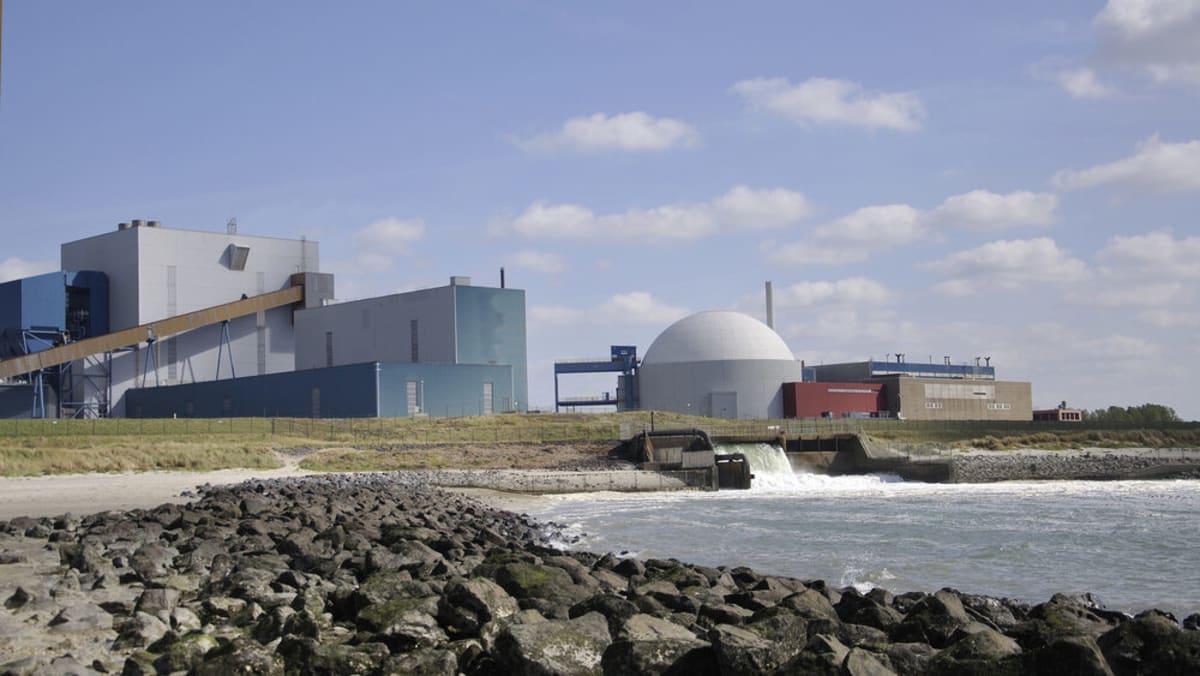 Netherlands Advances Clean Energy with Nuclear Plant Plans