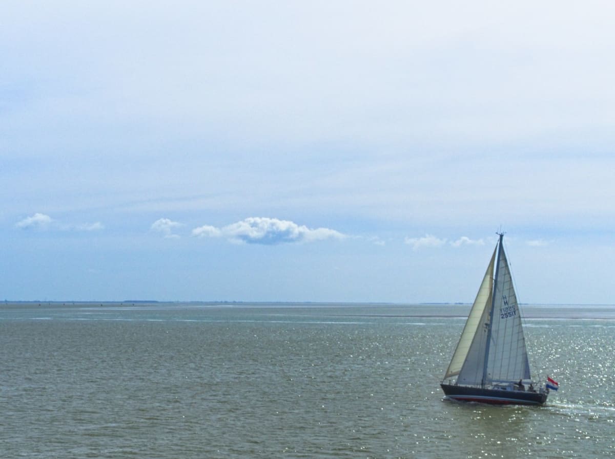 Court Protects Ancient North Sea Reef Rich With Wildlife