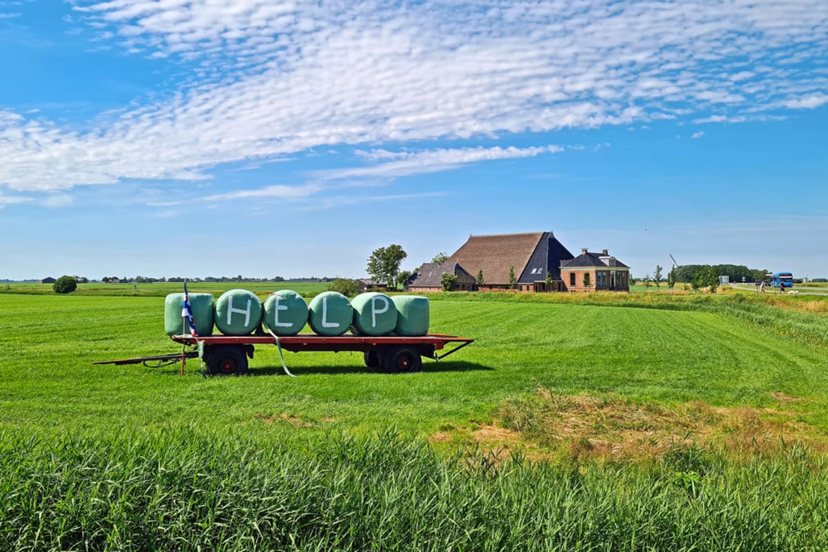 Dutch farmland with windmills showing agricultural landscape near protected nature zones in the Netherlands