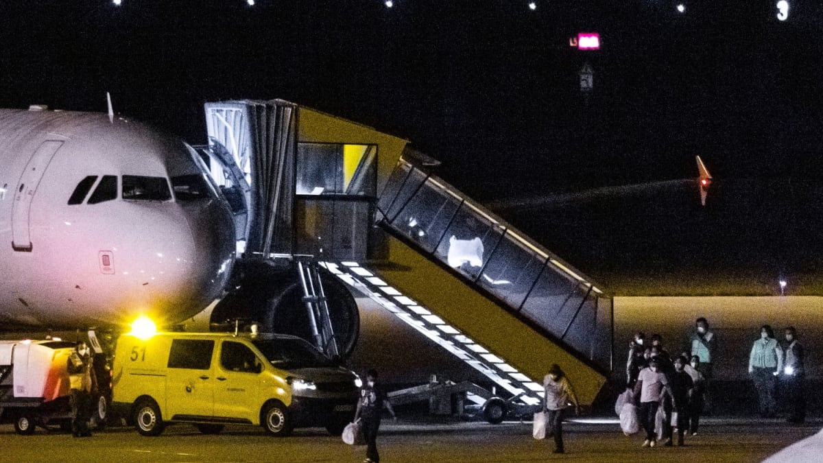 Dutch Cruise Evacuees All Clear of Deadly Hantavirus