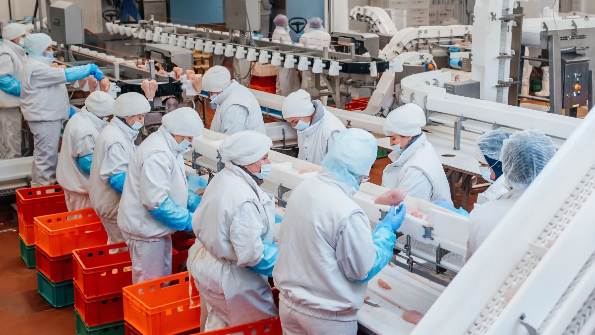 Workers in modern meat processing facility wearing protective equipment and uniforms