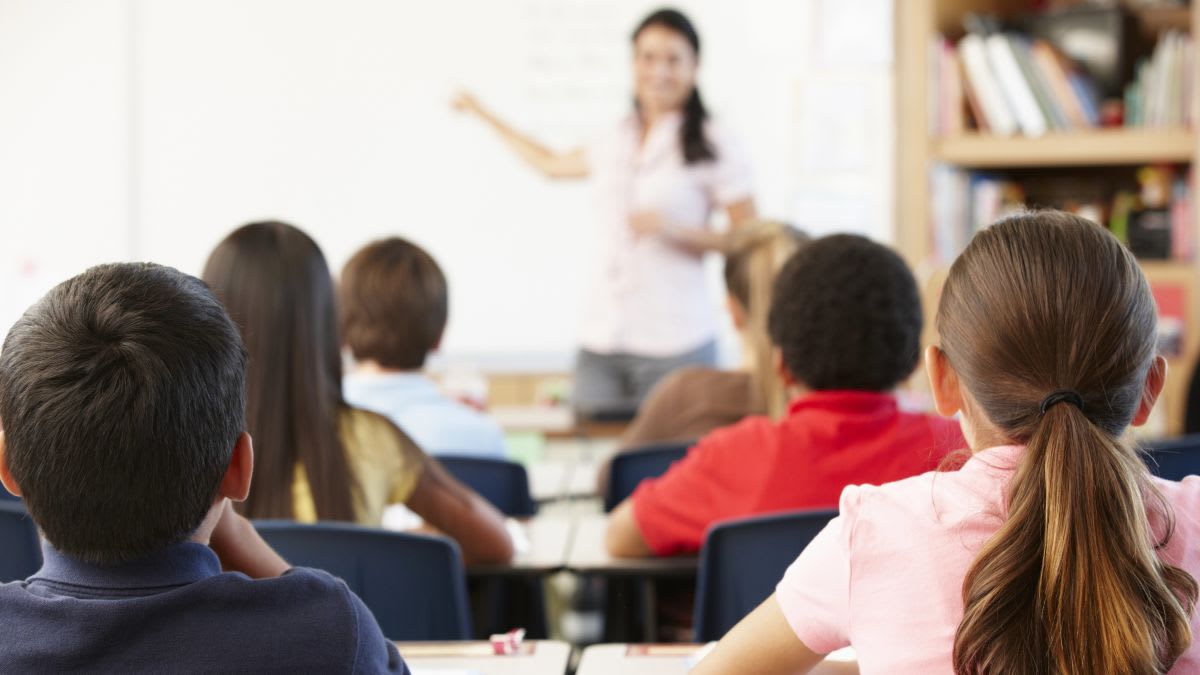 University students studying together in classroom preparing for teaching careers in Netherlands