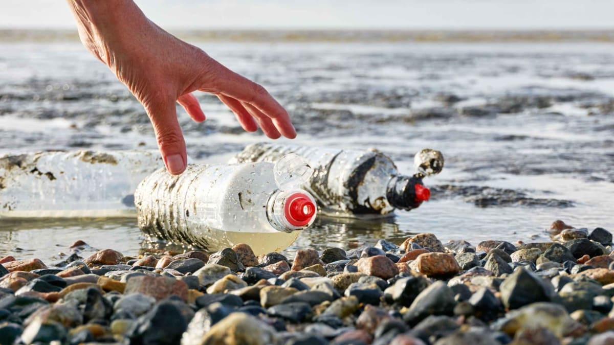 Diverse group of volunteers wearing gloves collecting plastic bottles and debris along a sunny beach coastline