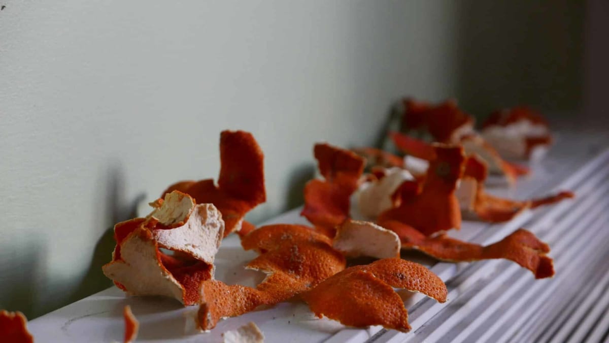 Orange peels and natural materials being transformed into sustainable biodegradable plastic alternatives