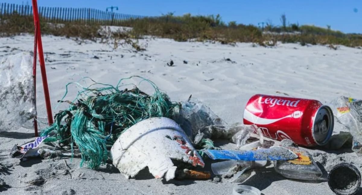 East End Mobilizes Thousands for Beach Cleanup Saturday - Image 2