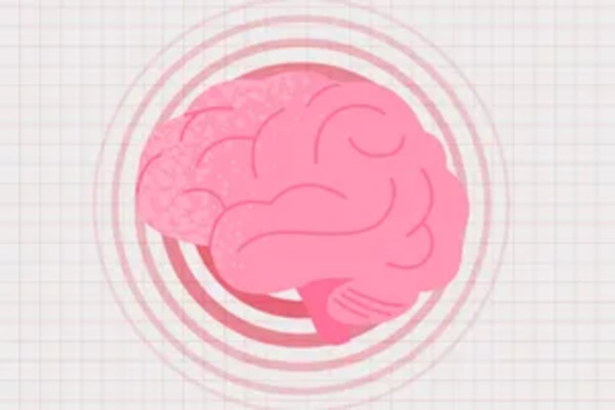 2 Million People Study Links Vegetarian Diet to Lower Cancer - Image 5