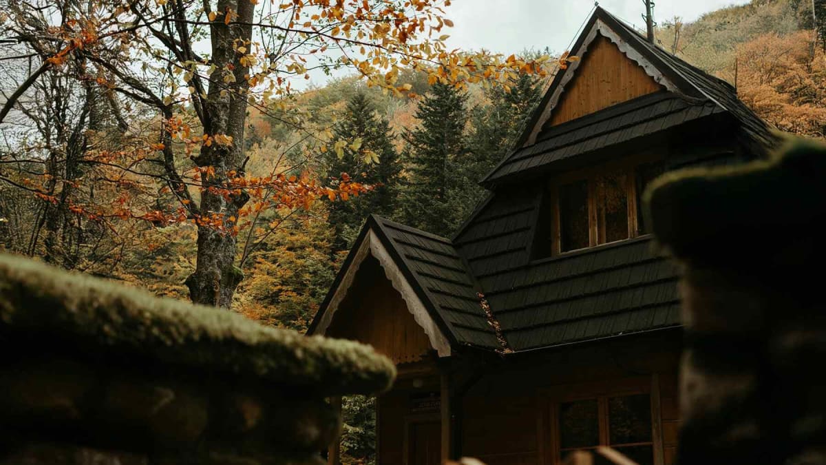 Vermont Man's 50-Year Off-Grid Life Sparks Energy Movement