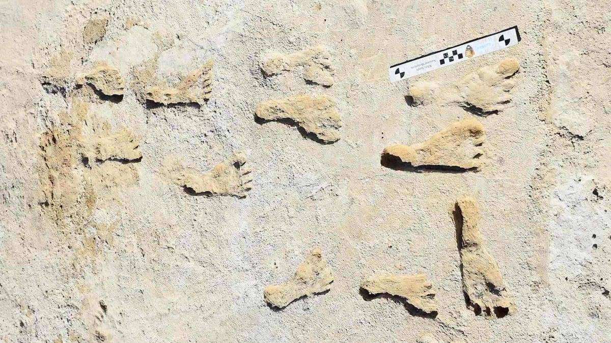 New Mexico Footprints Rewrite Human History by 10,000 Years