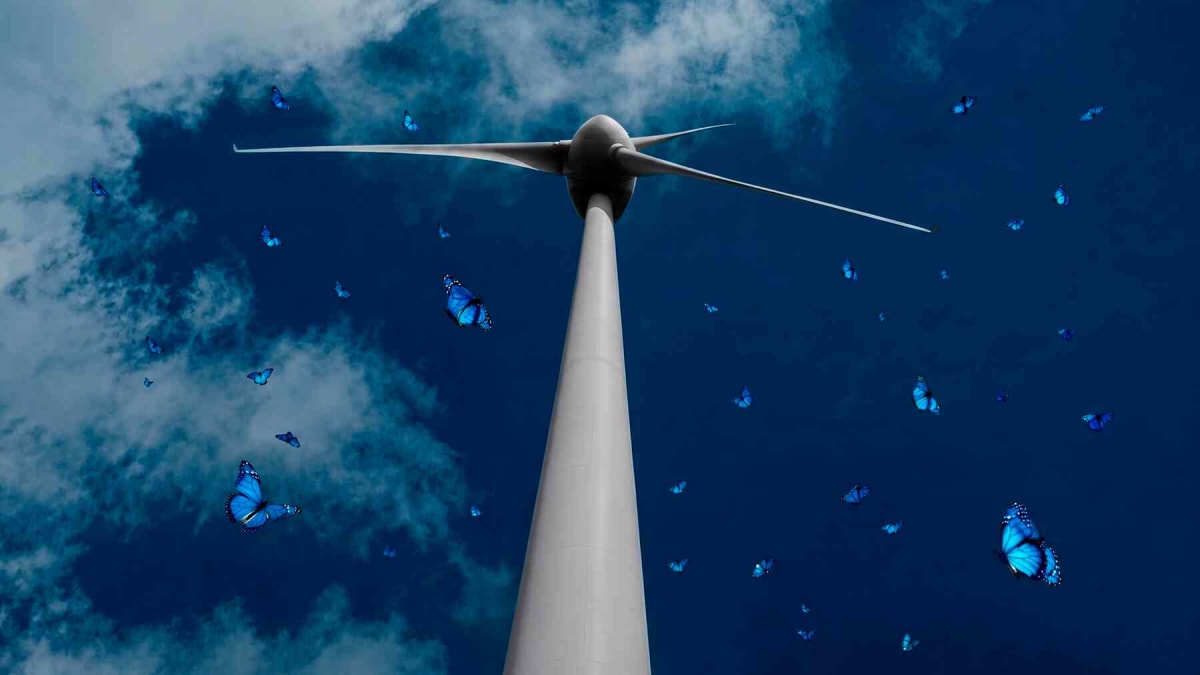 Irish Wind Farm Saves Endangered Butterfly with Smart Grazing