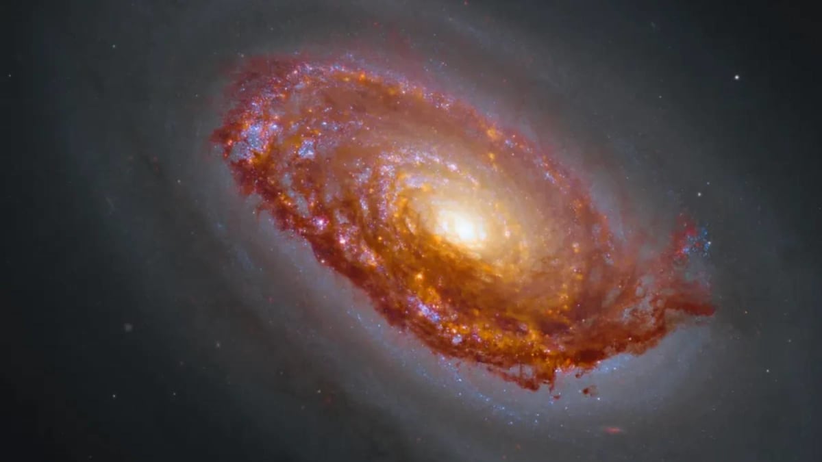 Composite space telescope image showing the Black Eye Galaxy with dark dust ring around bright core