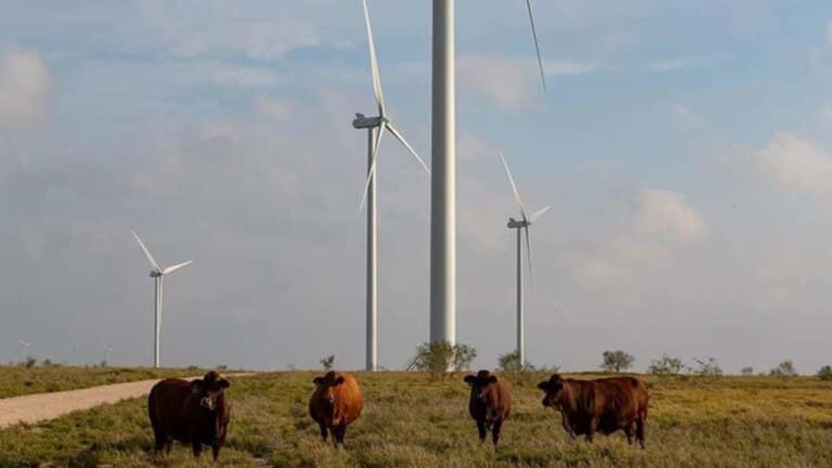 Denmark's Largest Wind Farm Halfway Done Before Winter - Image 4