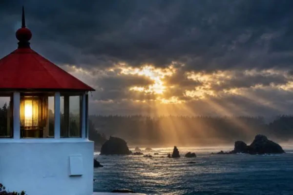 California Saves Frog and Solar Power in Historic Deal - Image 3