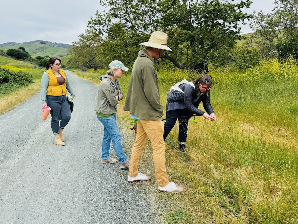 ** Volunteers removing invasive plants during Earth Day cleanup at Johnson Ranch Open Space in San Luis Obispo