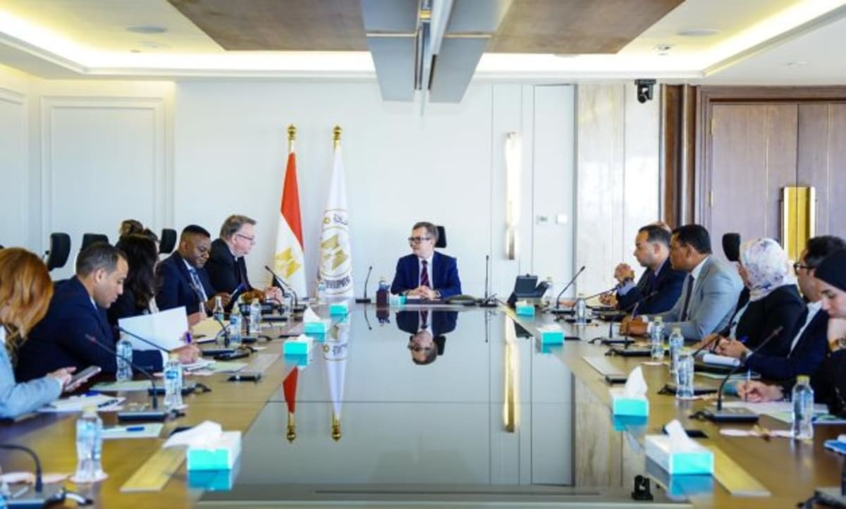 ** Egyptian and International Labour Organization officials meeting to discuss employment and economic cooperation initiatives