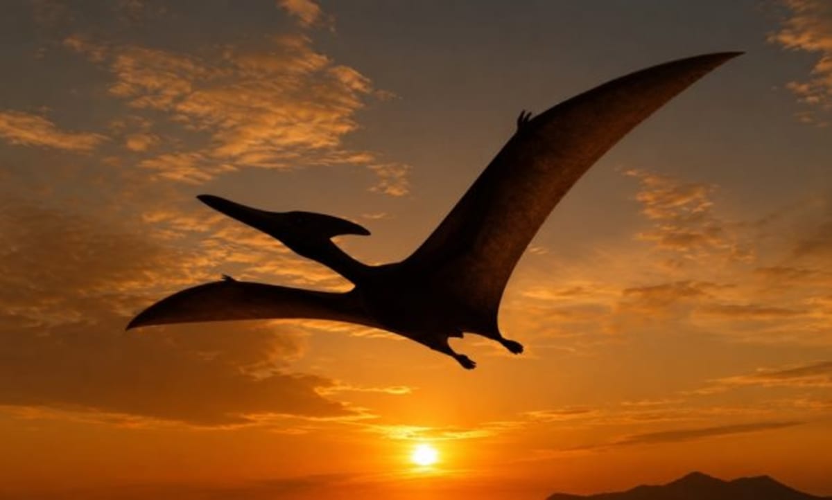 Ancient pterosaur soaring through prehistoric skies with wings fully extended over desert landscape