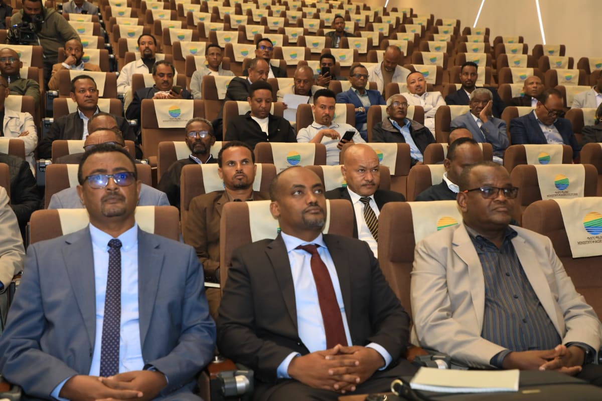 Ethiopia Boosts Food Self-Sufficiency With Private Farms