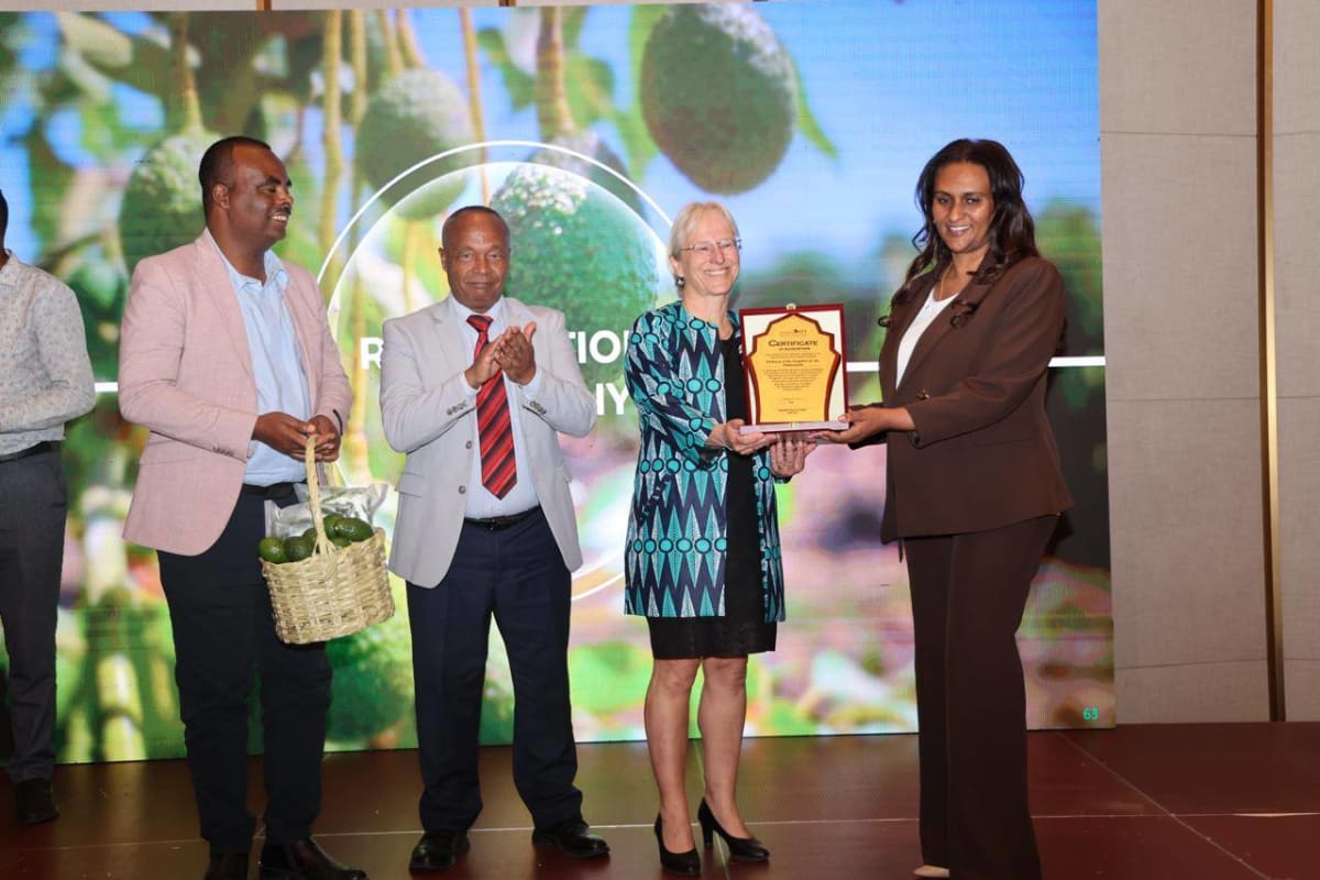 Ethiopian farmers and international partners gather at recognition ceremony celebrating agricultural transformation partnerships