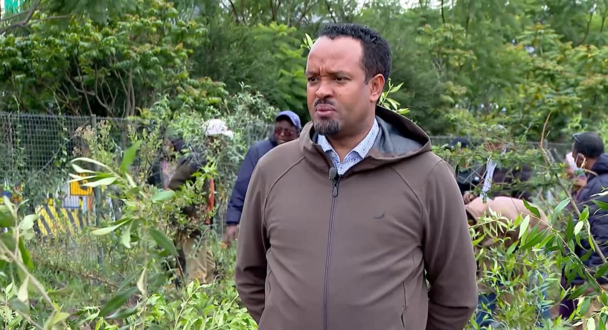 Ethiopia Plants 800 Million Trees in a Single Day