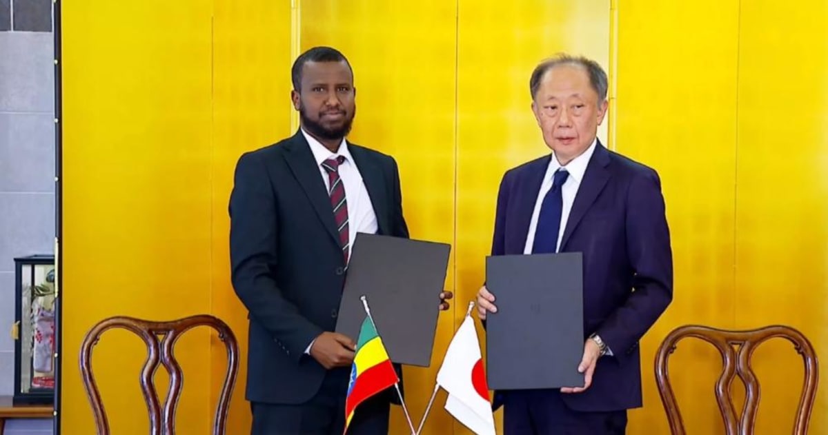 Japan Funds Women's Market in Ethiopia's Somali Region - Image 2