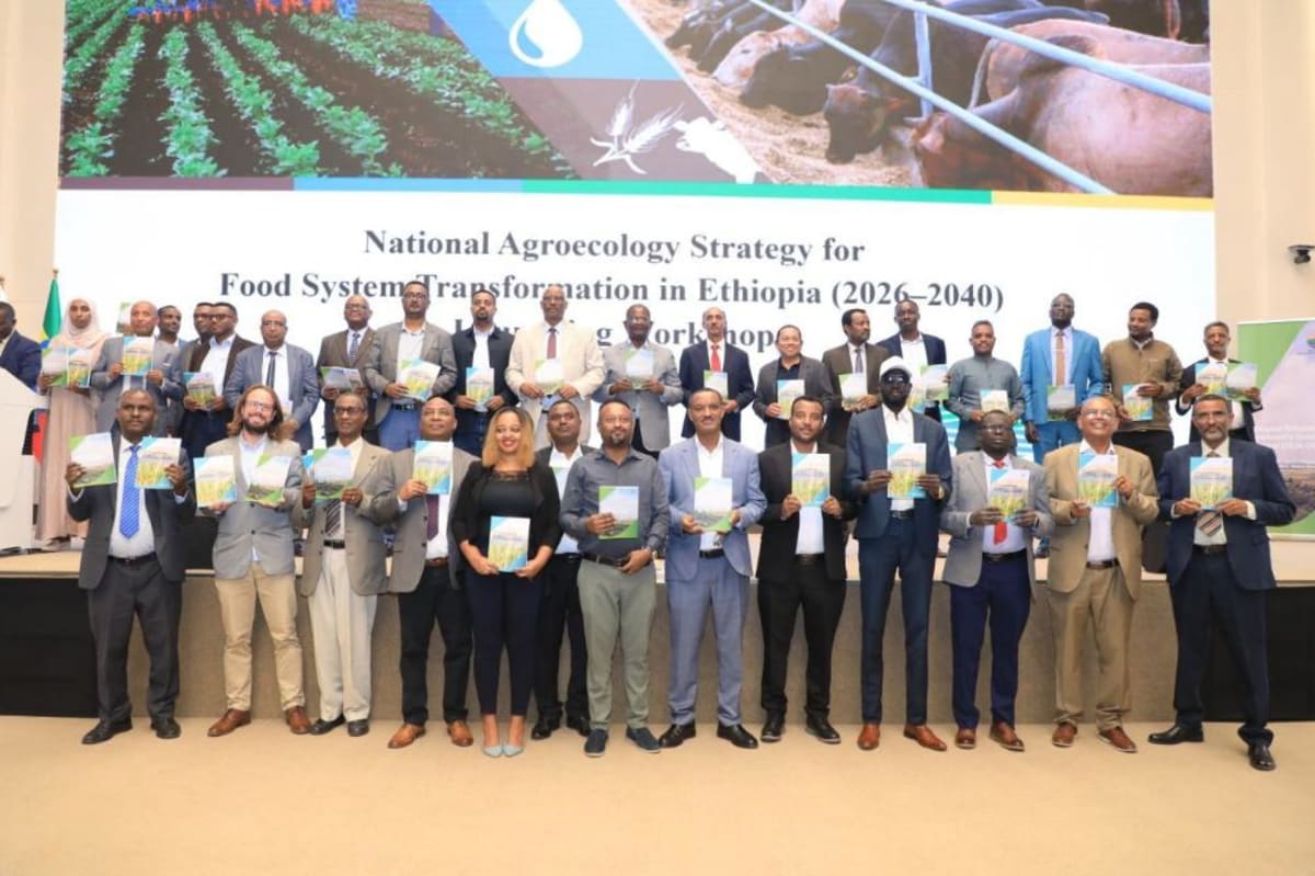 Ethiopia Launches Twin Strategies for Green Farming Future - Image 2