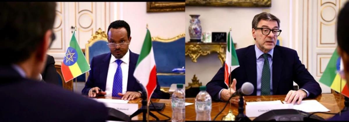 Italy Finances Ethiopia's Koysha Dam and Airport Projects - Image 2