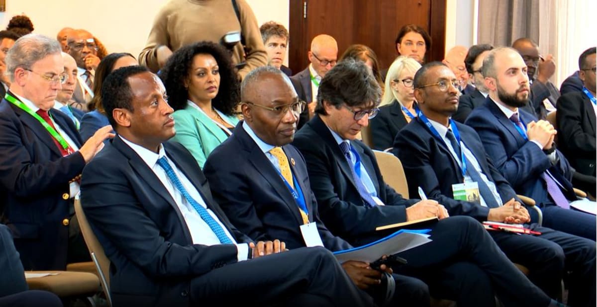 Ethiopia and Italy Partner on Infrastructure and Investment - Image 2