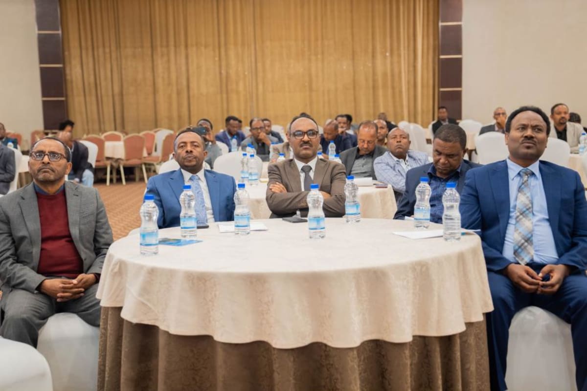 Ethiopia's Universities Unite to Fight Climate Change - Image 2