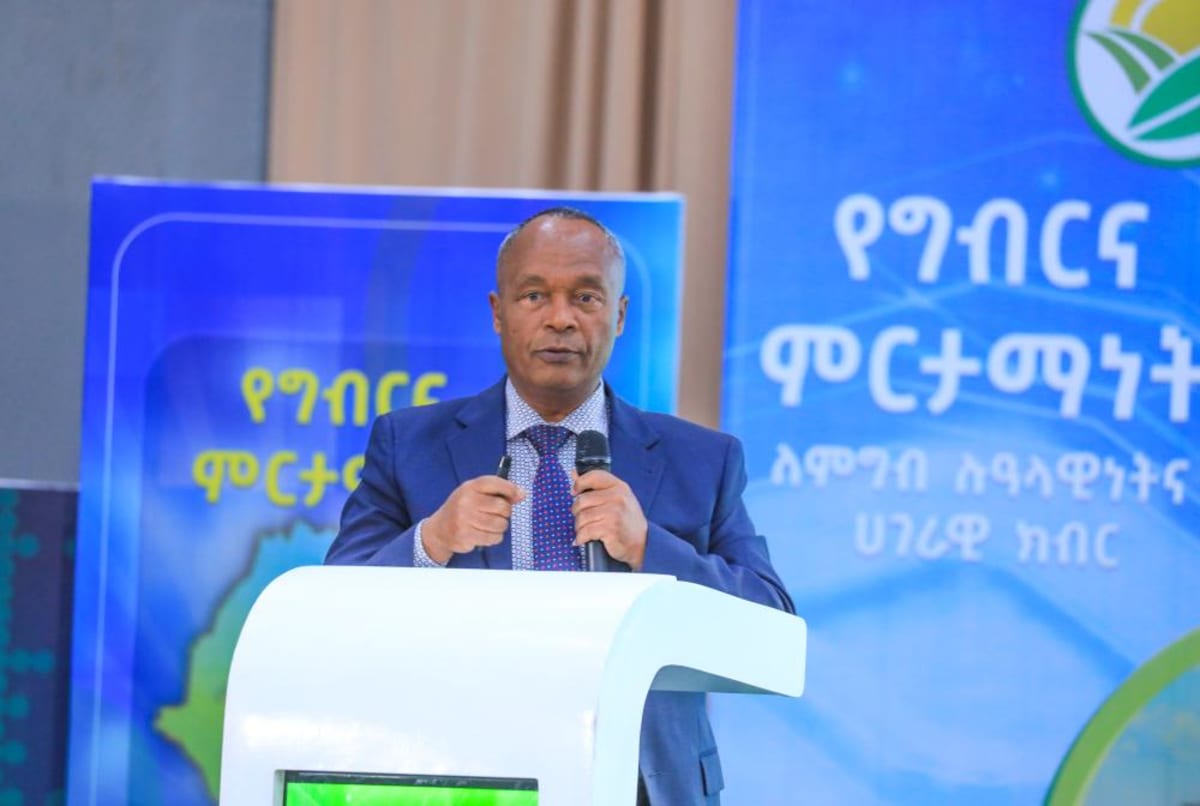 Ethiopia's Farm Reforms Could Feed 400 Million by 2041 - Image 2