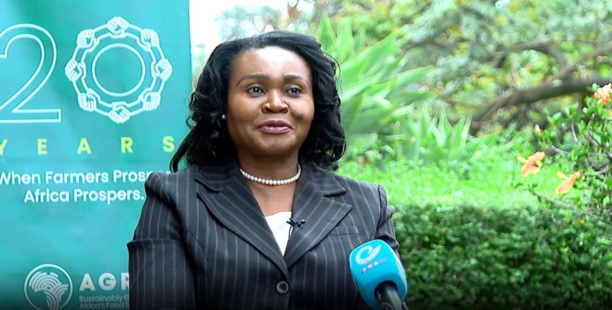 Ethiopia's Farm Revolution Becomes Model for Africa - Image 2