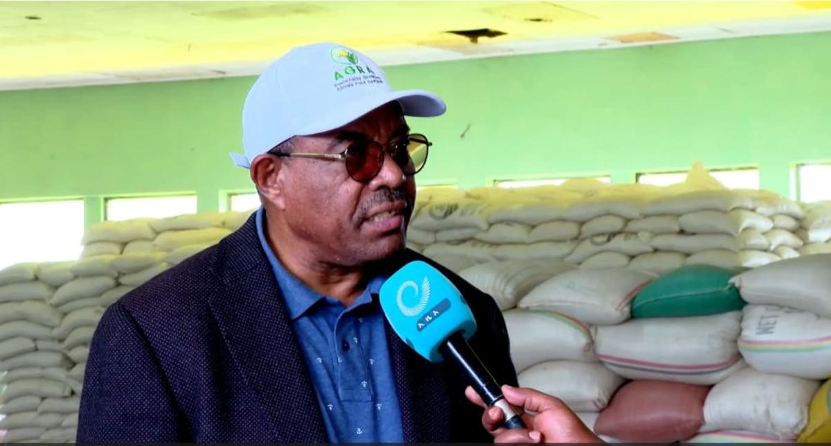 Ethiopia Plants 48 Billion Trees in Climate Win - Image 2