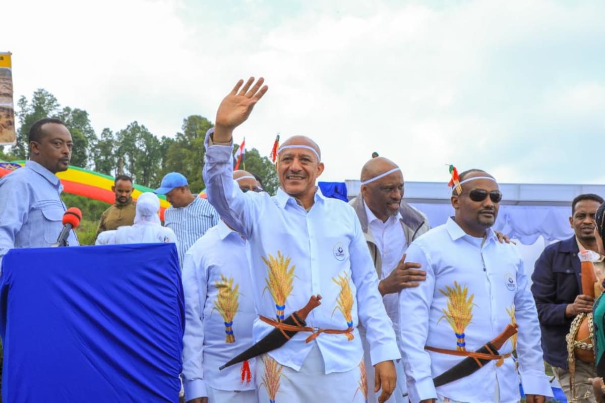 Ethiopia's Farmers Drive Food Self-Sufficiency Push - Image 2