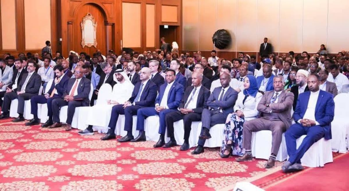 Ethiopia Ranks 2nd in Africa for Foreign Investment - Image 2