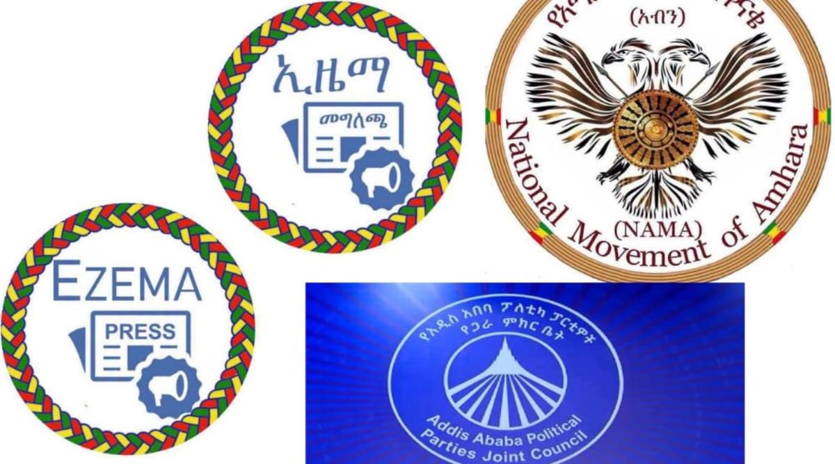 Ethiopia's Parties Unite Behind Peaceful Election Results - Image 2