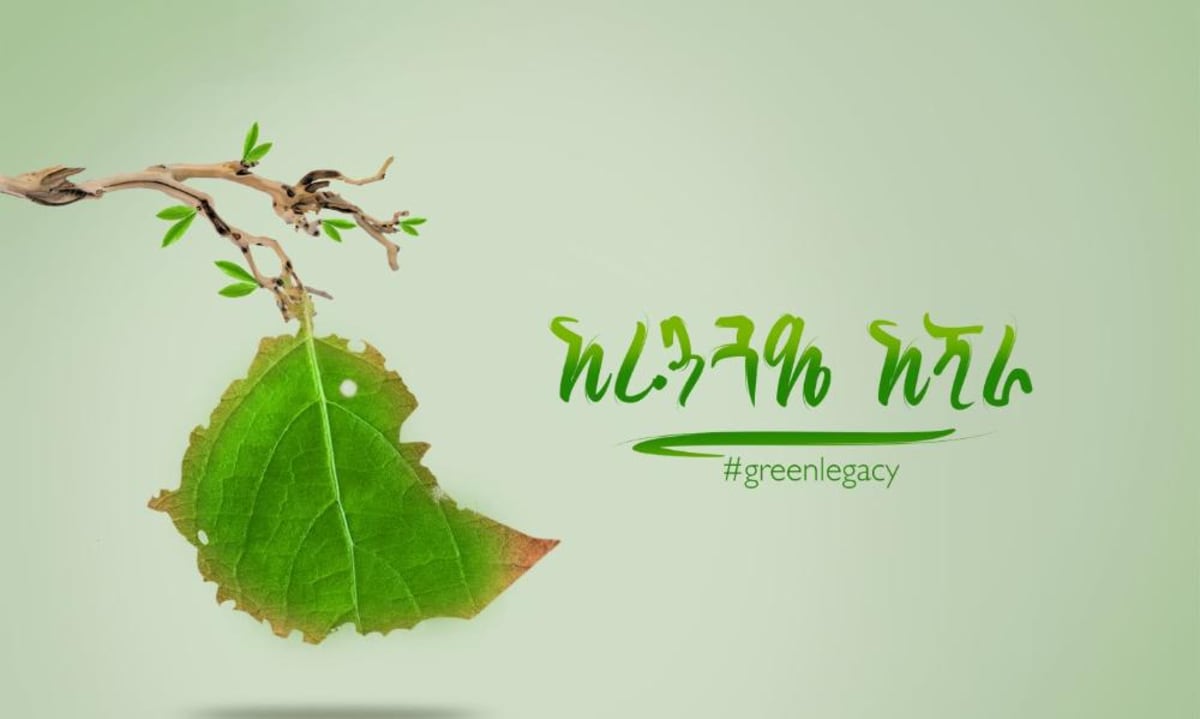 Ethiopia Plants 50 Billion Trees in Climate Turnaround - Image 2