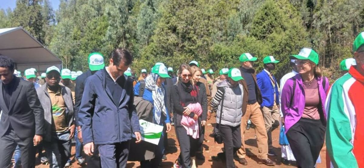 Ethiopia Plants 50 Billion Trees With Diplomat Support - Image 2