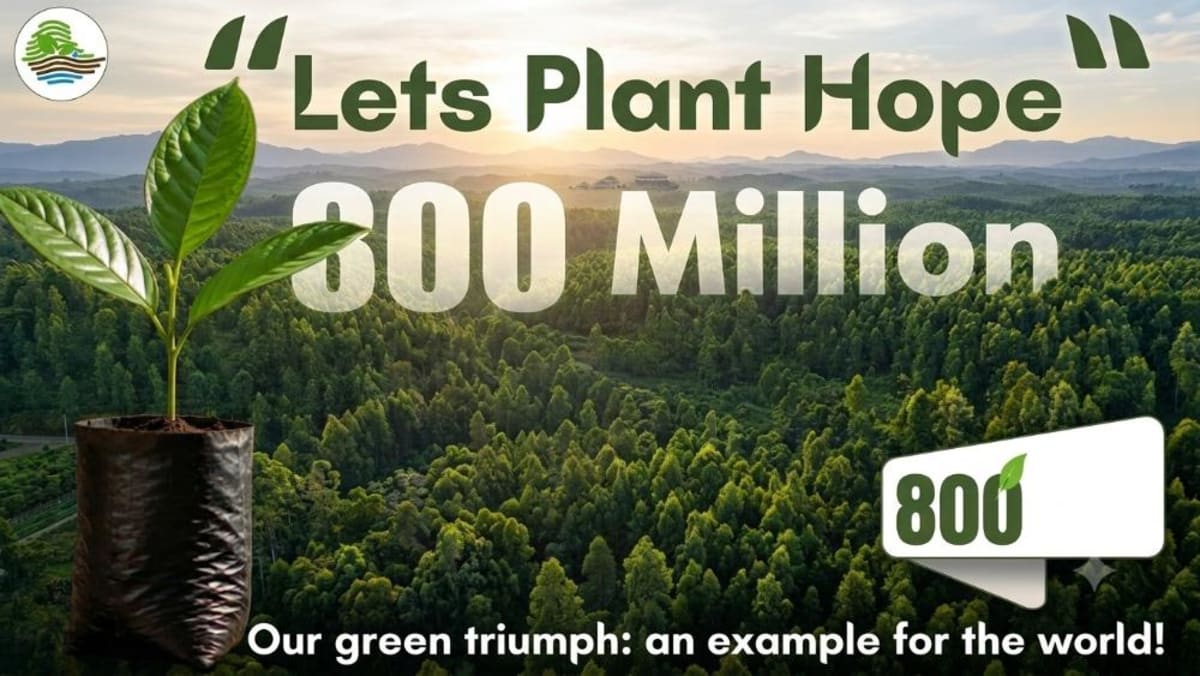 Ethiopia Plants 800 Million Trees in One Day - Image 2